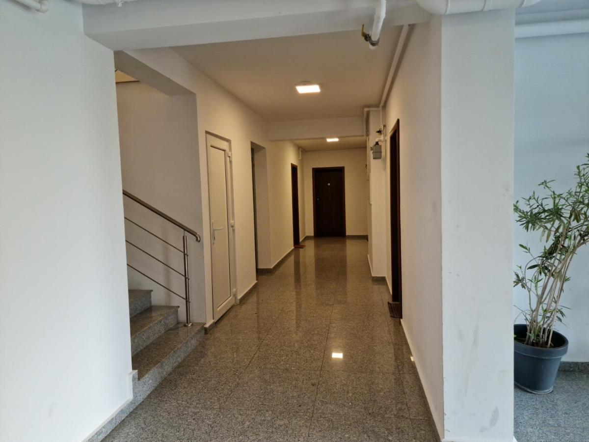 Amazing Apartament With Garden Bucharest Airport Self Check-In!! Otopeni Kültér fotó